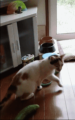 如果上面的女生是单纯(蠢), 那污一点的女生表情就是酱紫哒!