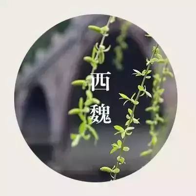 西魏鲜卑人口_鲜卑人