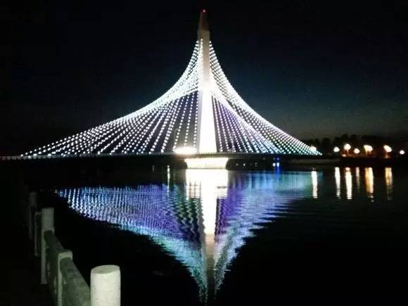 宁河:光明桥夜景很美丽