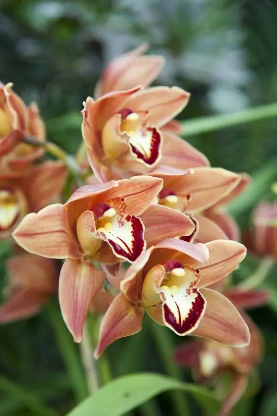 二胡独奏春江花月夜简谱_春江花月夜二胡简谱(3)