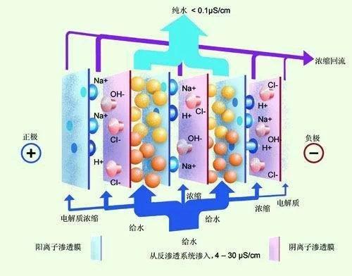 影响edi系统运行的主要因素