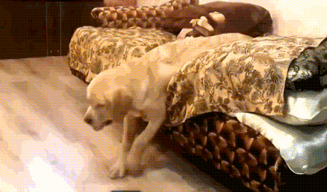 这个春节,你妈逼你早起拜年了吗?