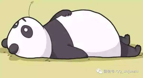 怎样变胖最简单 a6d4sd6948175047619.jpeg