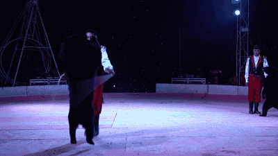 国内首部动保暗访纪录片,揭露马戏团的真相!