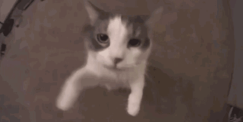 都起来,我老婆亲我了 我上去就是一个么么哒 段友们发挥一下你们的