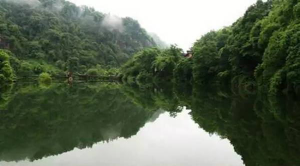 成都大学生杨洋是在峨眉山清音平湖拍下这张照片,无意中旋转手机
