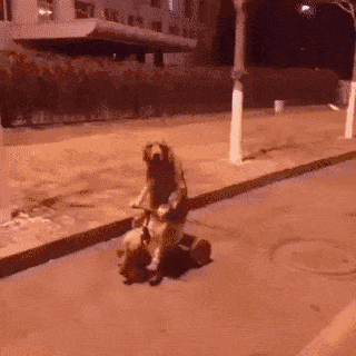 【马力全开】突然发现,自己的开车技术还不如狗!