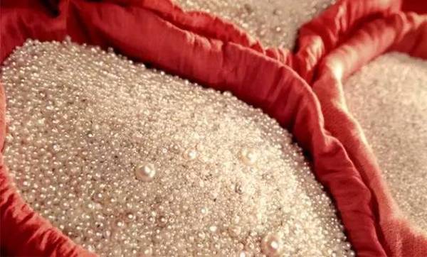 打开迪拜宝箱!| 这些博物馆,你都去过了吗?