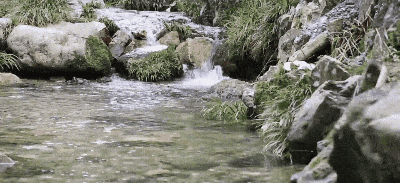 400_183gif 动态图 动图