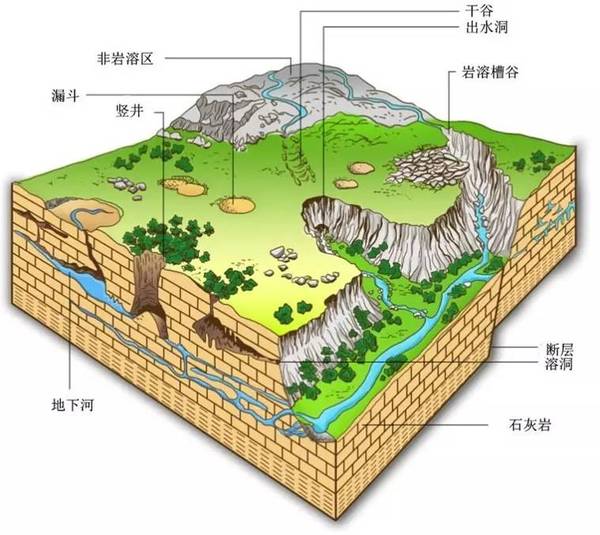 地下河的水源则来自周边的 峰丛喀斯特地貌 其特征是一座座锥形山峰