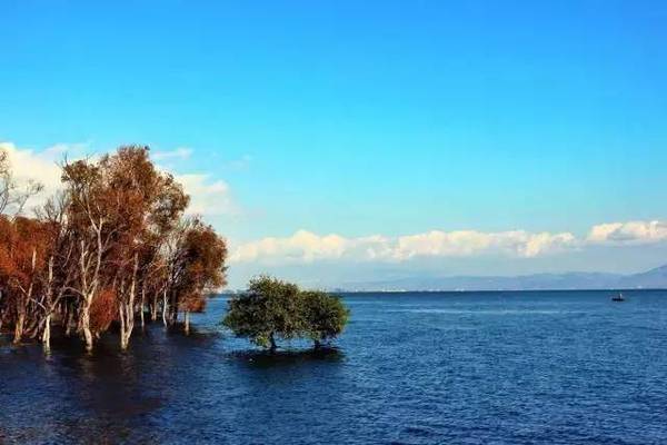 洱海旅游人口_洱海旅游攻略必去景点