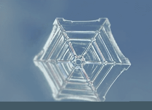一波酷炫科学动图,不仅好看,还有道理