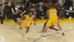 250_143gif 动态图 动图