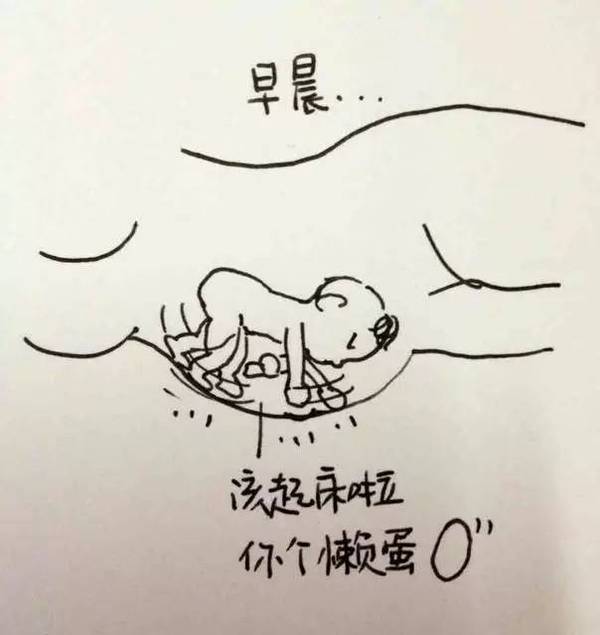 20幅图片告诉你知孕妇睡觉竟有这么多无奈, 总一个说中你