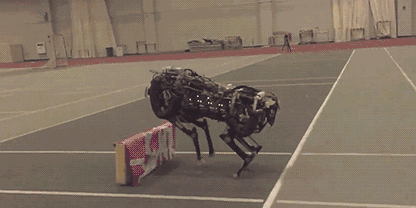 天下武功唯快不破!揭秘世界上最