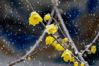 欢迎转载,请务必注明出处,否则必将追究法律责任.