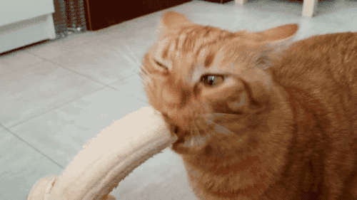 空腹吃香蕉会增加心脏负担,易导致心肌梗死