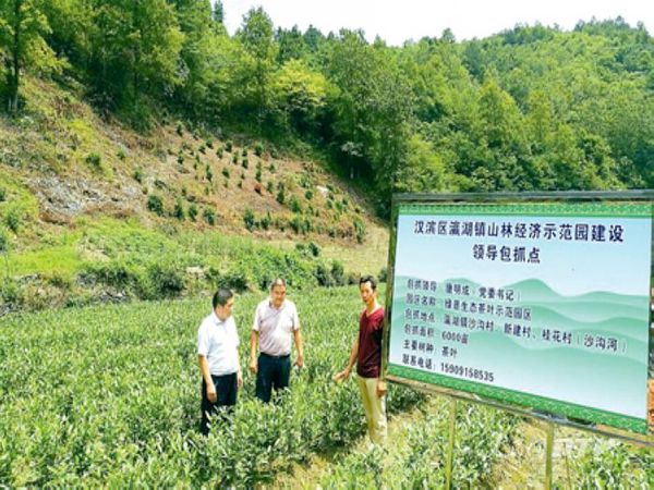 安康汉滨区瀛湖镇书记唐明成:绿色脱贫绿富美共进