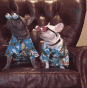 见过抠门的,没见过抠搜成这样的!