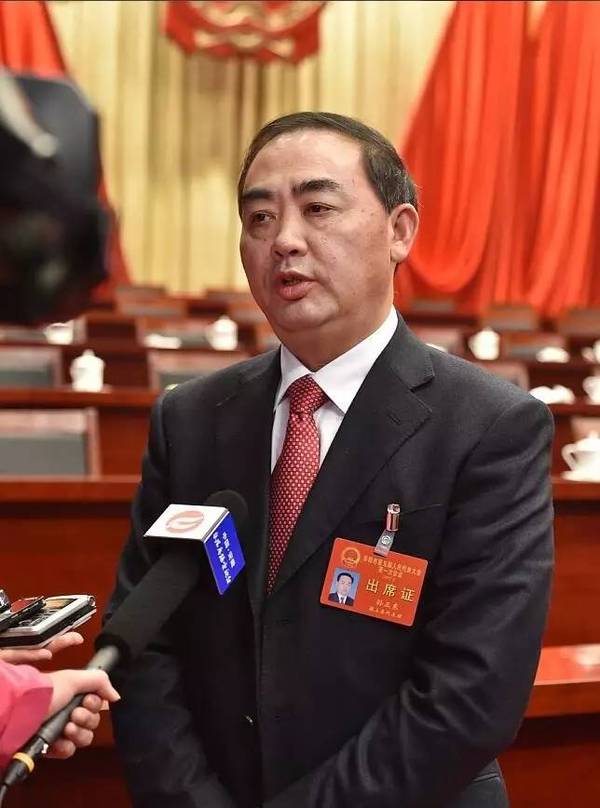 阜阳市人民政府市长孙正东