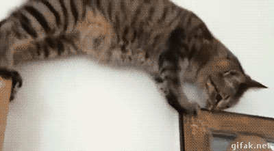 快来护驾!-新闻频道-手机搜狐