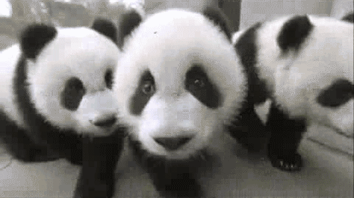这是武汉最好吃的食堂,2000张嘴一天干掉1吨食材