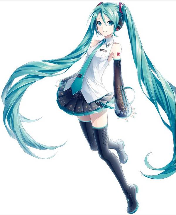 初音未来本子名字 初音未来本人