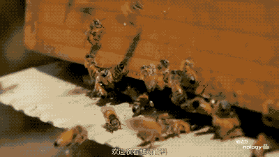 a09mt16854498782718.gif
