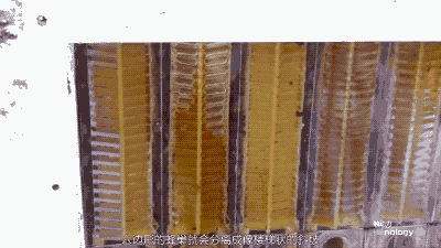 目前该产品已上市, 售价629美元起. 热门历史内容 (点击图片查看)