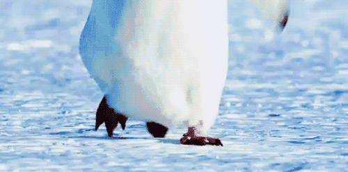 动物,海洋生物的世界里,脱离城市的纷扰和工作的压力,多么舒畅的一番