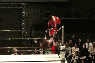 平台动图首发 10000张2b,恶搞,傻缺,内涵,美女,萌宠动态图一次看个够!