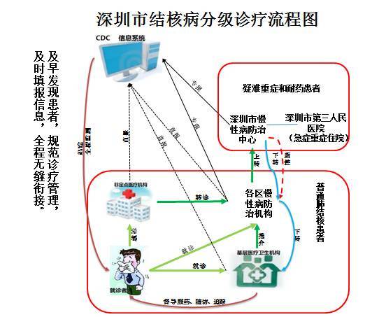 深圳老年人口_...年深圳户籍老年人口数量-最年轻一线城市将步入老龄化 深圳(2)