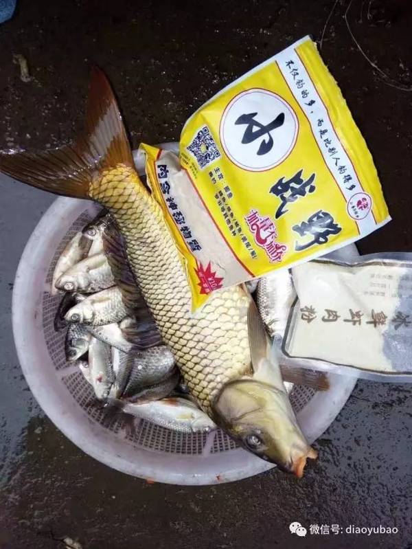 各种各样的鱼饵料 a3bumu7929110165178.jpeg