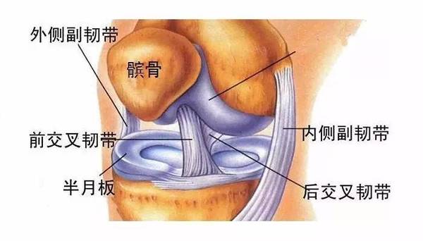 脚背筋基本断了,肌腱断了,还断了血管,并且多处骨折可以构成10级伤残吗