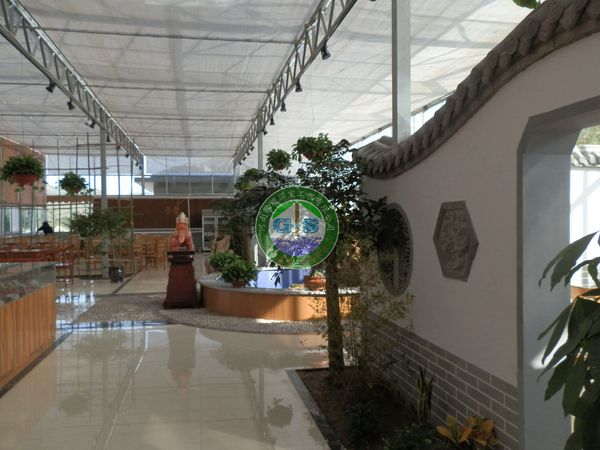 从闷热生态餐厅到自然恒温体验：鹤岗石墨烯大棚落地指南