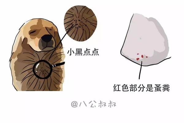 a94zq32757388499327.jpeg