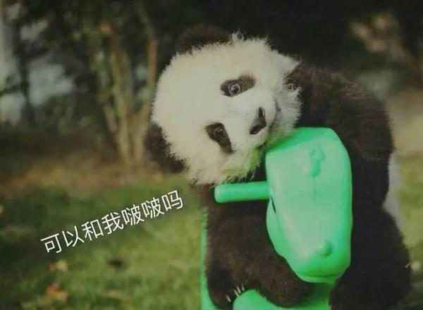 a509lk0914056474296.jpeg