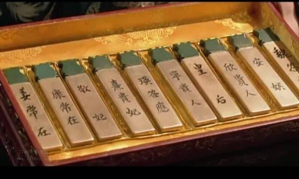 个托盘进来,上面放着一个个五颜六色的牌子,颜色的不同代表妃子的地位