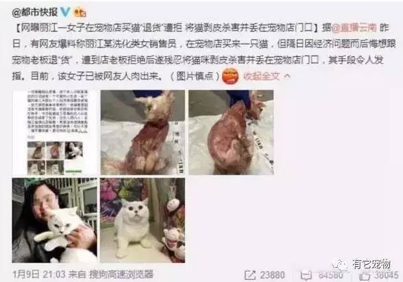 被物管副经理枪杀, 2017年1月10日, 云南丽江一女子因买宠物猫不能退