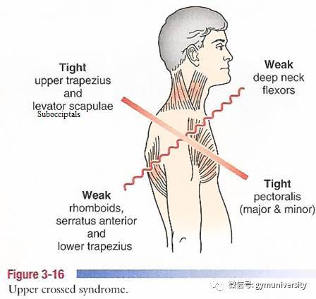 查一下巴新这个国家多少人口_宁夏有多少人口