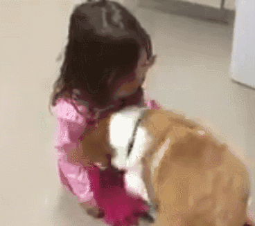 听到小主人哭了 柯基犬的这个行动真的好感动!