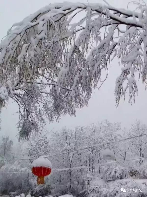 宝鸡人快看,这些地方都下雪了!