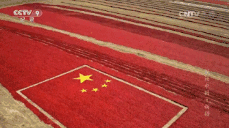 新疆 《航拍中国》新疆 伊犁河谷的花海绽放.