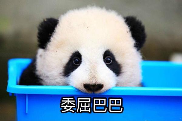 gdp高代表物价贵(3)