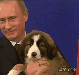 搞笑精选第15期:这真是天造地设的一对啊