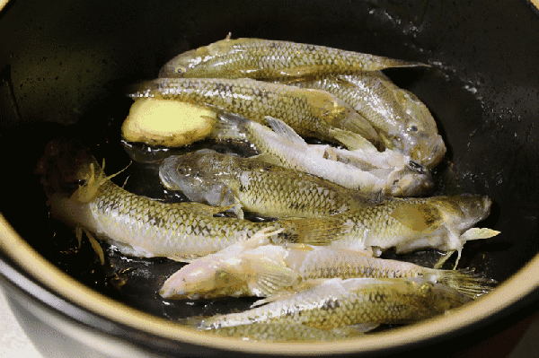 让宝宝大口吃菜的一道鱼汤:笋壳鱼滚菜心汤