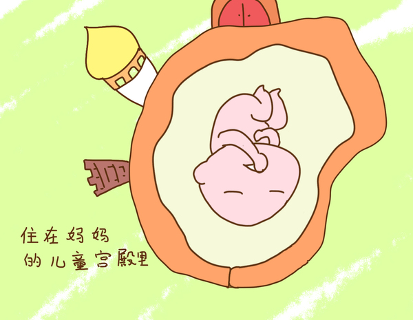 宝宝问我从哪里来,这样的回答真是爱意满满啊