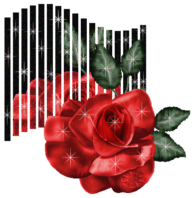 早上好动态音乐 动态音乐壁纸