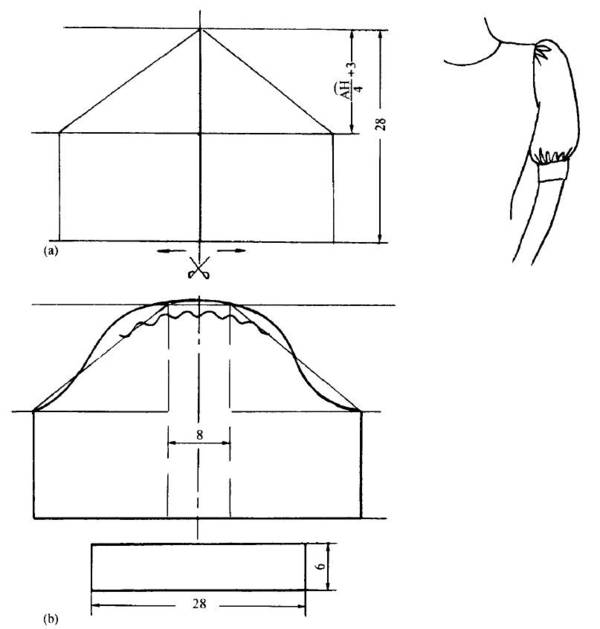 a13yzs00600026374405.jpeg