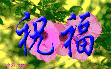 写的真好,值得推荐给全国中老年人看!